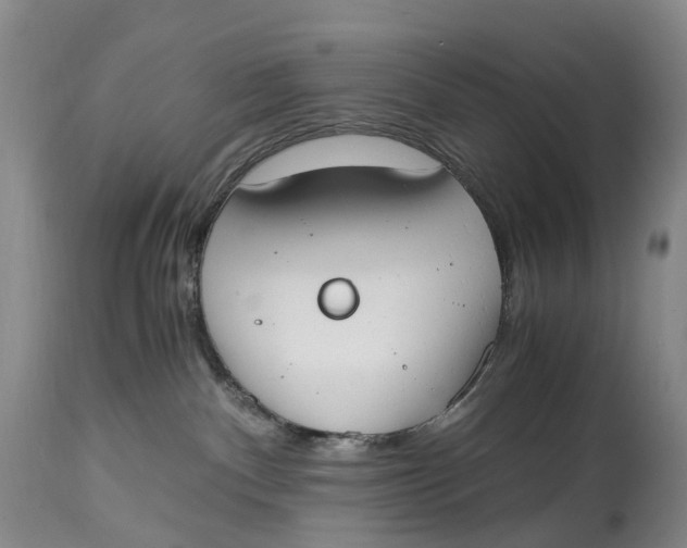 X0000115000140200911161545