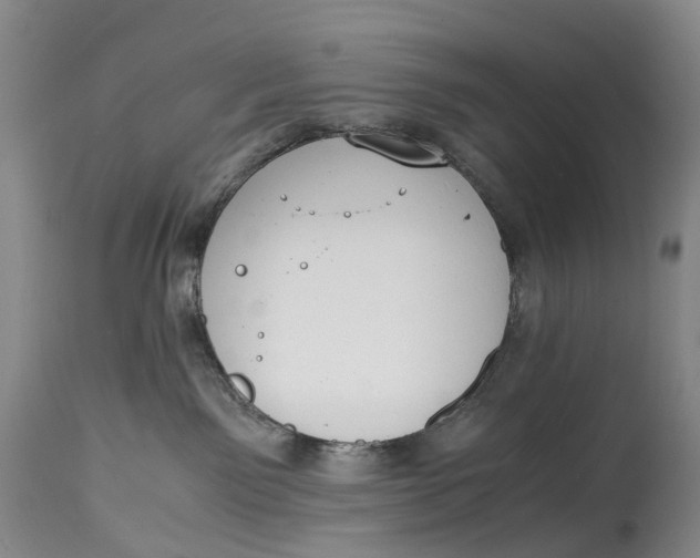 X0000115000141200911161545