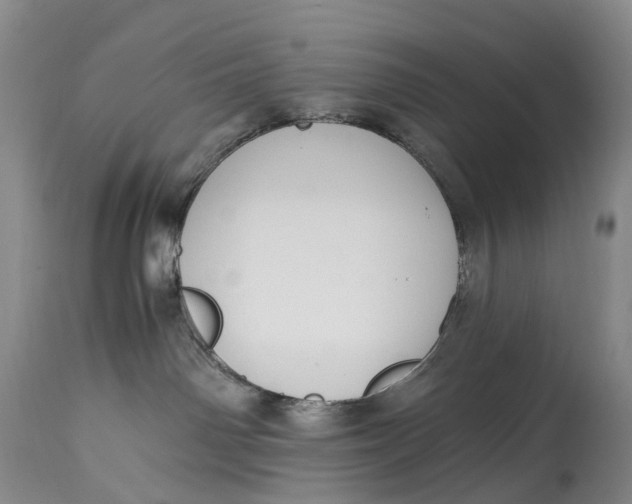 X0000115000142200911161545