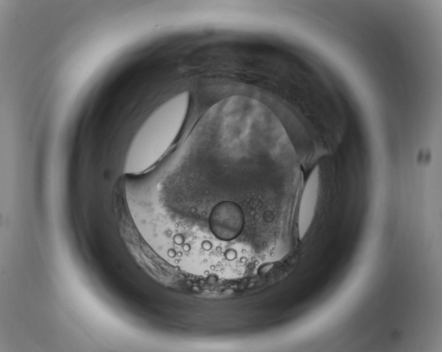 X0000115000143200911161545