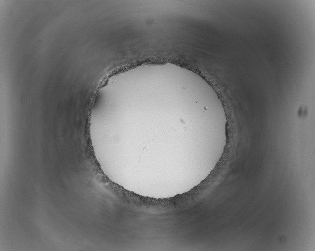 X0000115000144200911161545