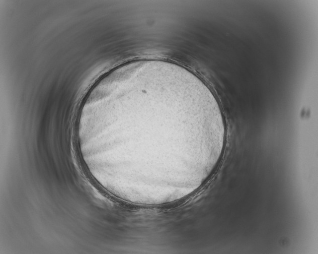 X0000115000145200911161545