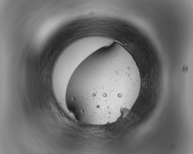 X0000115000146200911161545