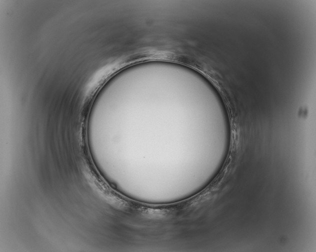 X0000115000149200911161545