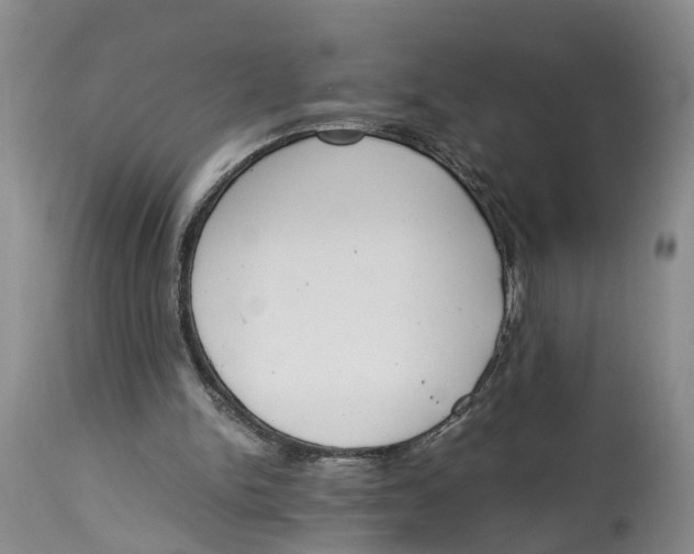 X0000115000150200911161545