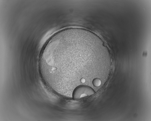 X0000115000151200911161545