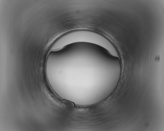 X0000115000155200911161545