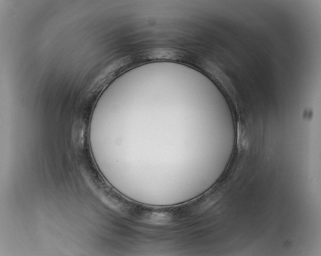 X0000115000157200911161545