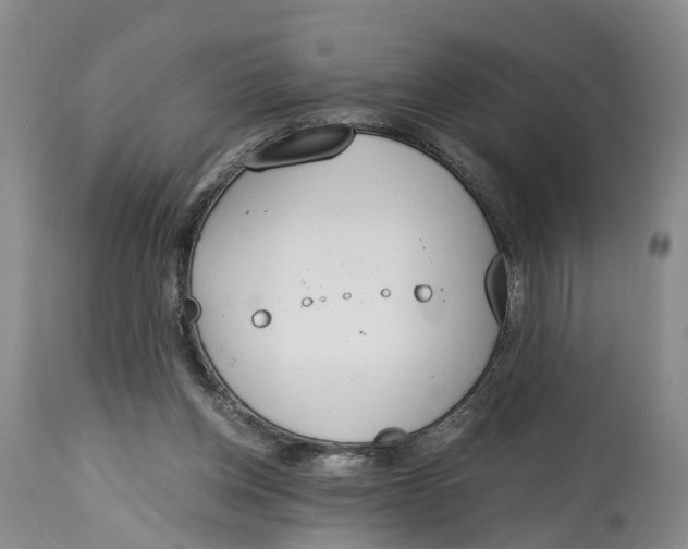 X0000115000158200911161545