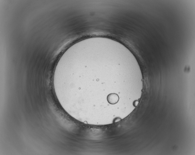 X0000115000159200911161545