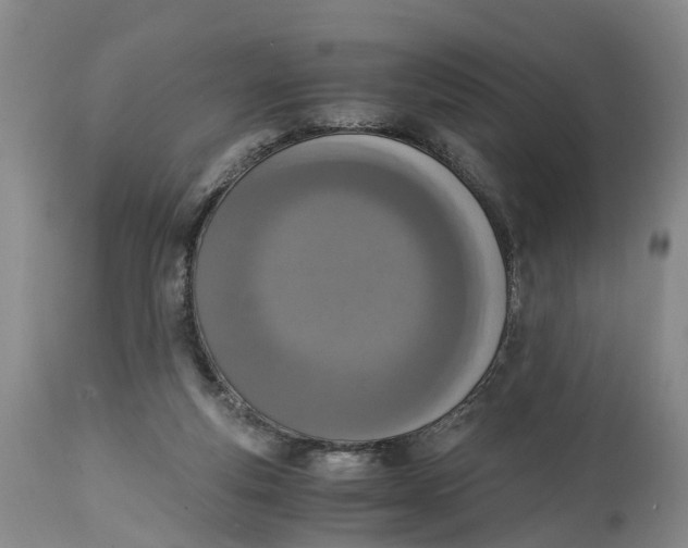 X0000115000163200911161545