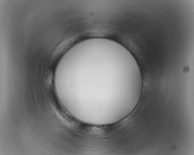 X0000115000166200911161545