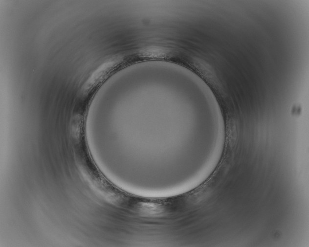 X0000115000167200911161545