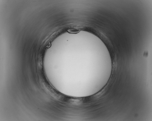 X0000115000170200911161545