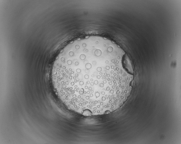 X0000115000171200911161545