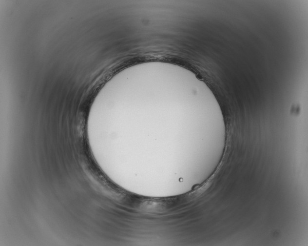 X0000115000174200911161545