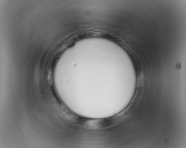 X0000115000178200911161545