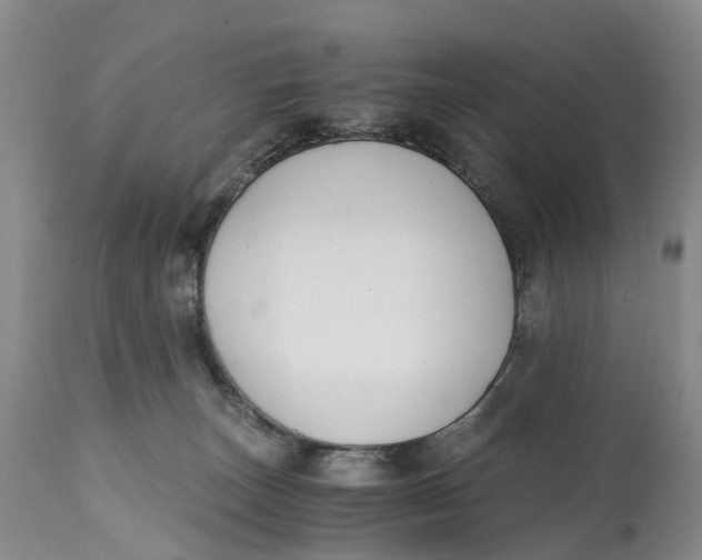 X0000115000179200911161545