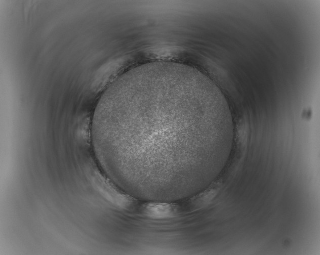 X0000115000181200911161545