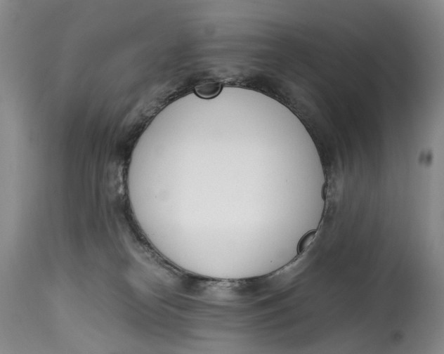 X0000115000182200911161545