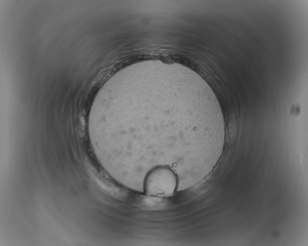 X0000115000183200911161545