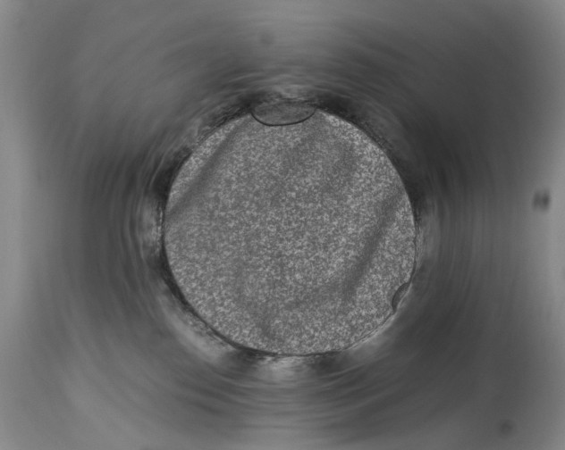 X0000115000186200911161545