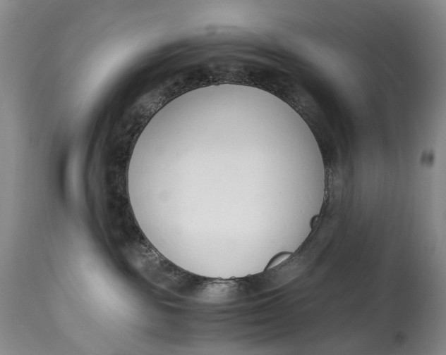 X0000115000189200911161545