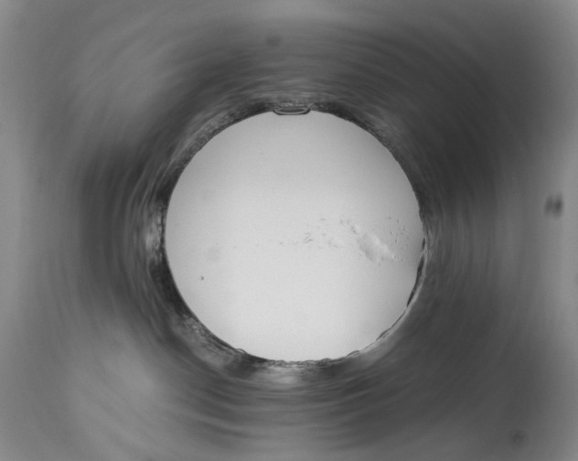 X0000115000190200911161545