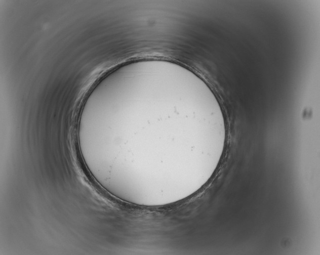 X0000115000193200911161545