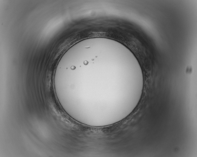 X0000115000194200911161545