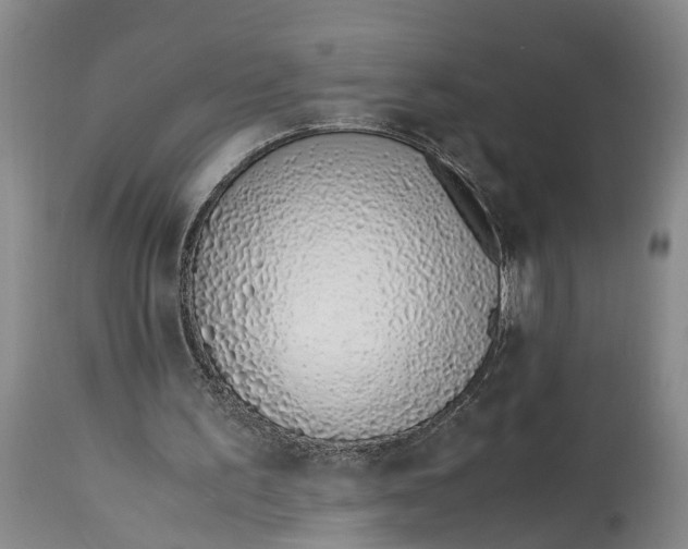 X0000115000195200911161545