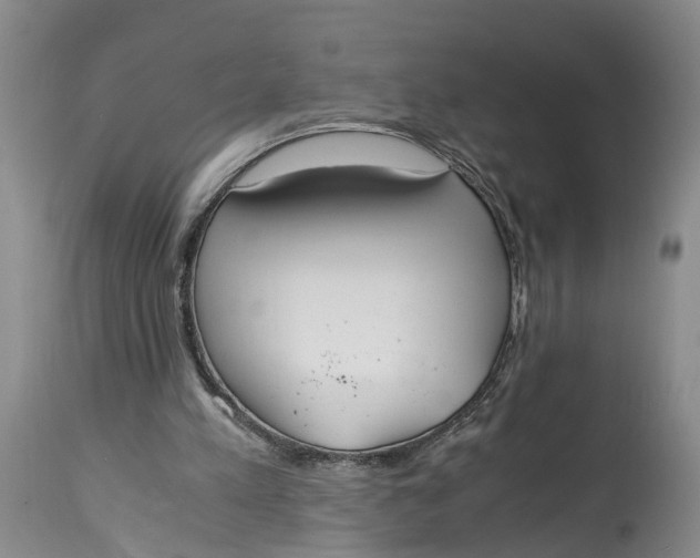 X0000115000197200911161545