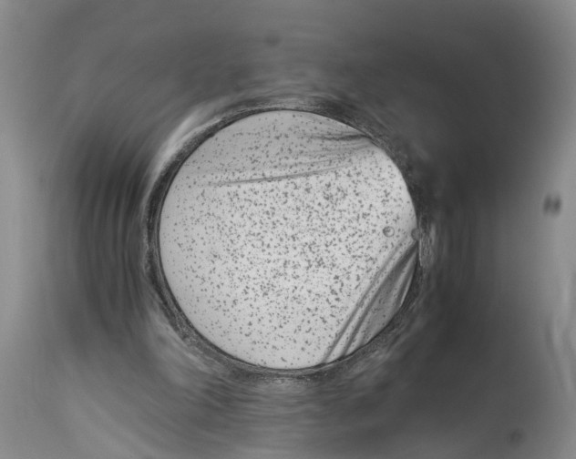 X0000115000198200911161545