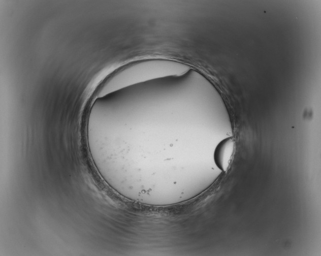 X0000115000200200911161544