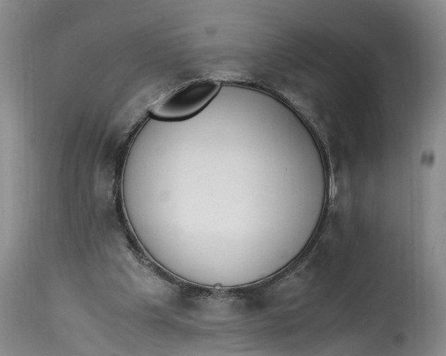 X0000115000201200911161544