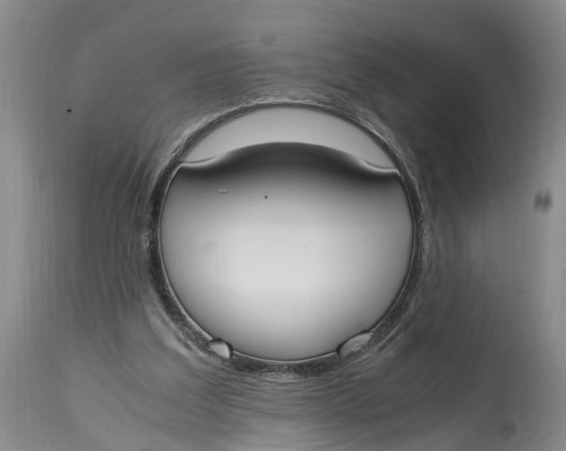 X0000115000203200911161544