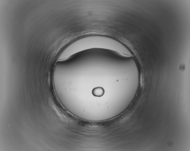 X0000115000205200911161544