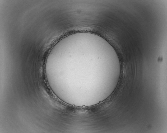 X0000115000206200911161544