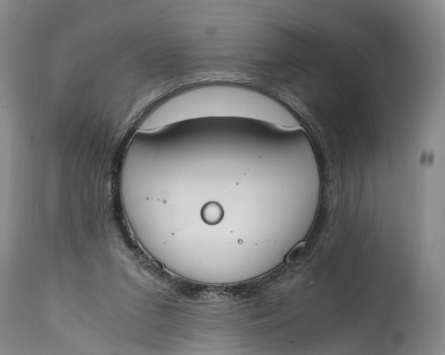 X0000115000207200911161544