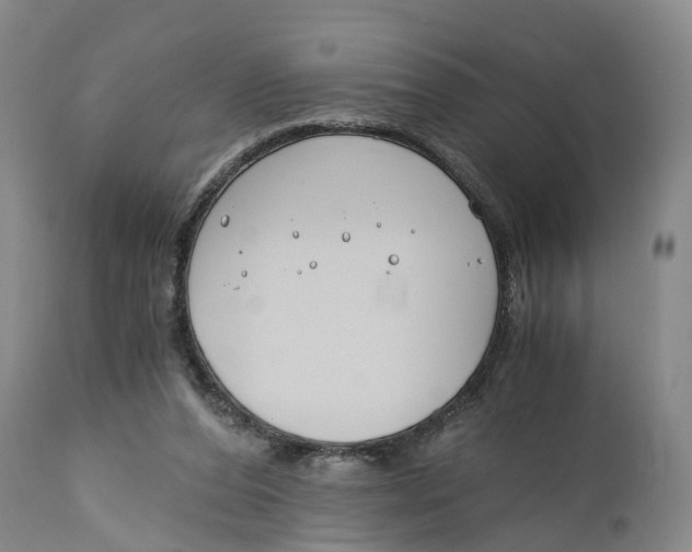 X0000115000208200911161544