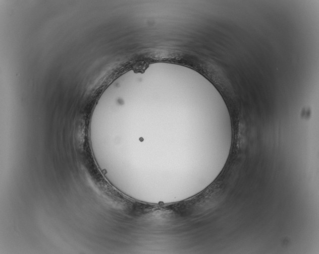 X0000115000210200911161544