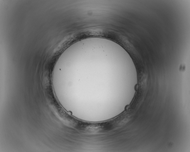 X0000115000213200911161544