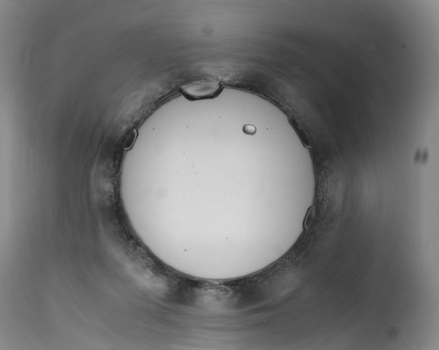 X0000115000215200911161544