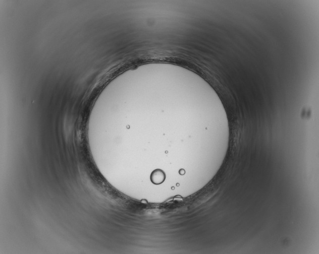 X0000115000216200911161544