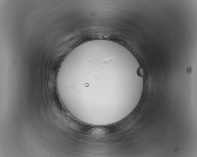 X0000115000218200911161544