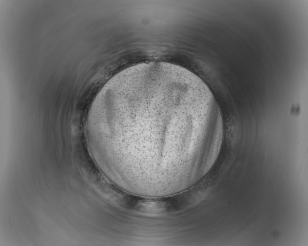 X0000115000221200911161544