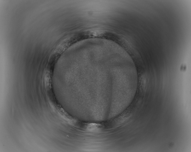 X0000115000222200911161544