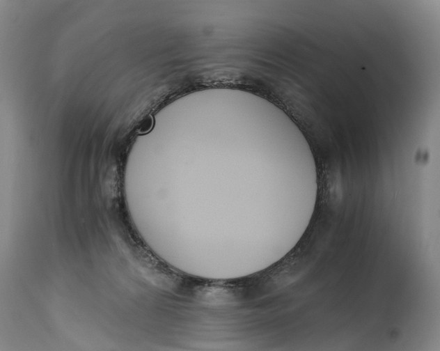 X0000115000224200911161544