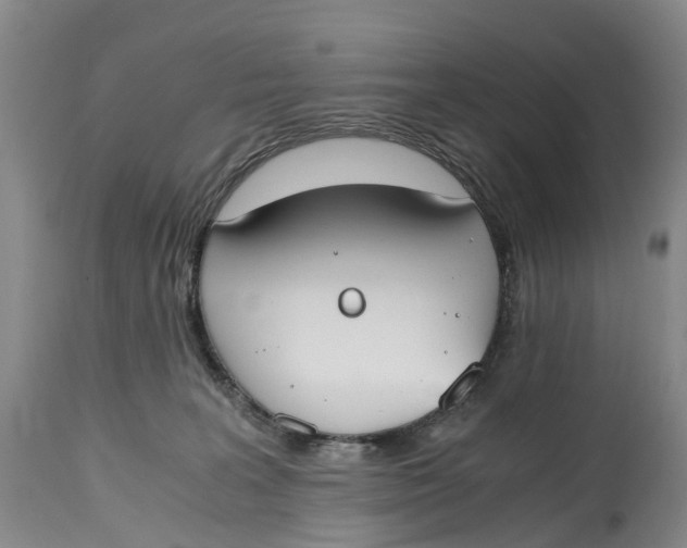 X0000115000227200911161544