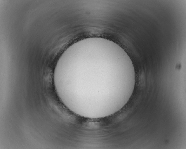 X0000115000228200911161544